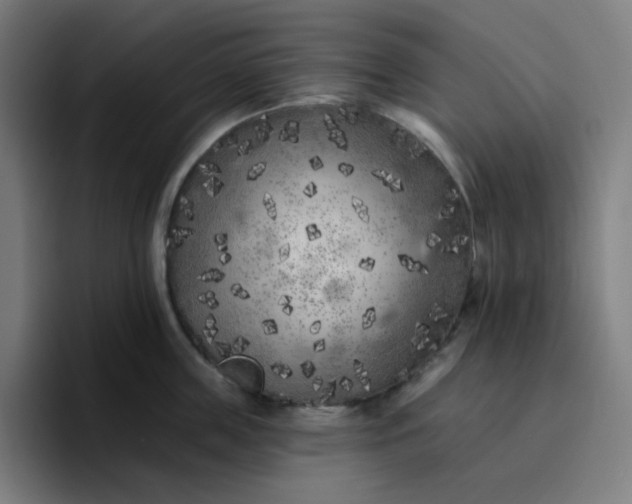 X0000096720859200802191527