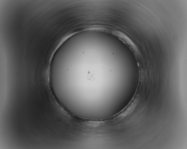 X0000096720860200802191527