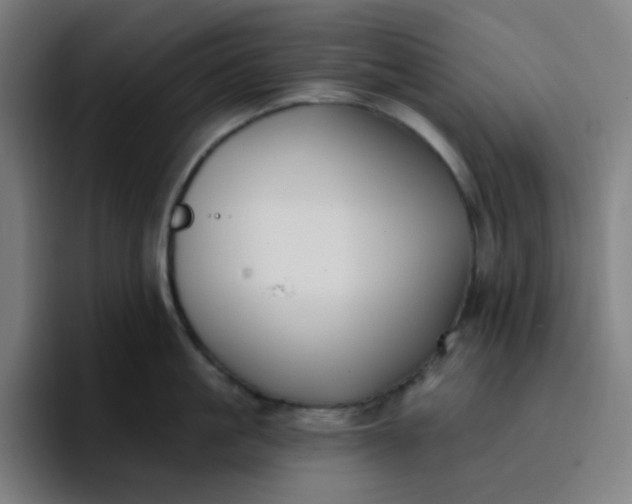 X0000096720861200802191527