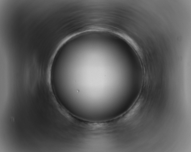 X0000096720862200802191527