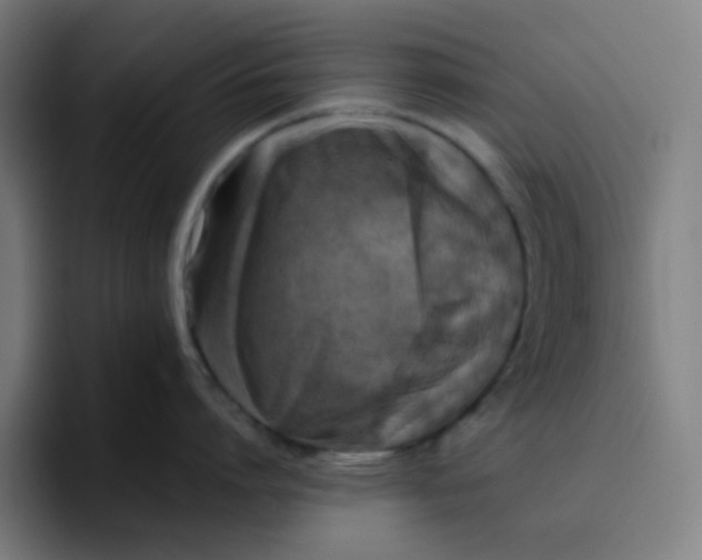 X0000096720864200802191527