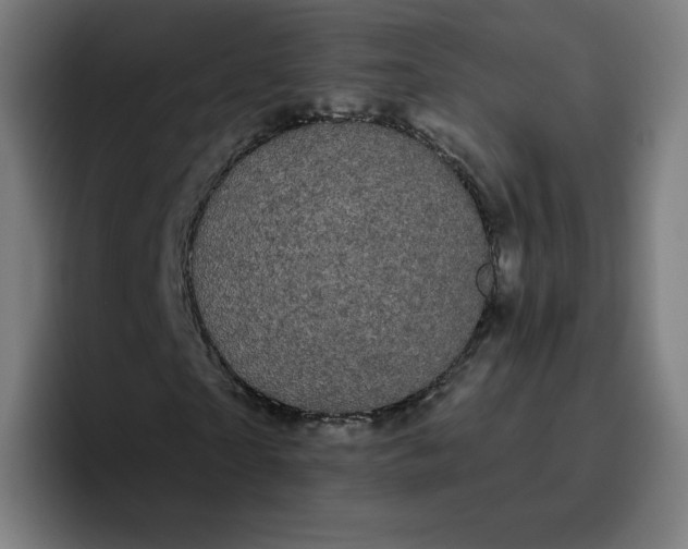 X0000096720865200802191526