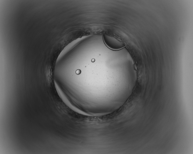 X0000096720866200802191526