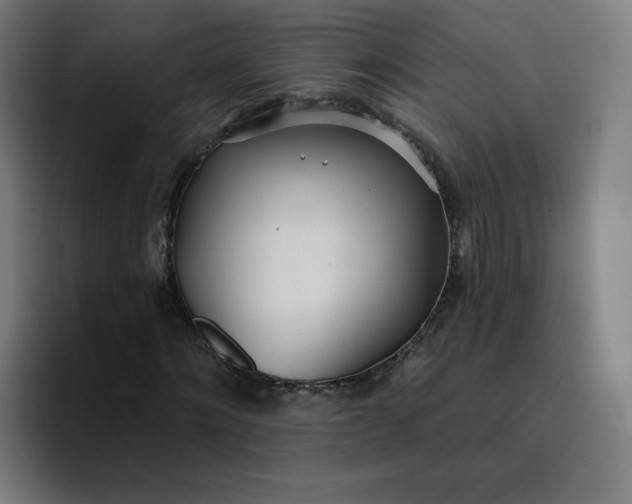 X0000096720868200802191526