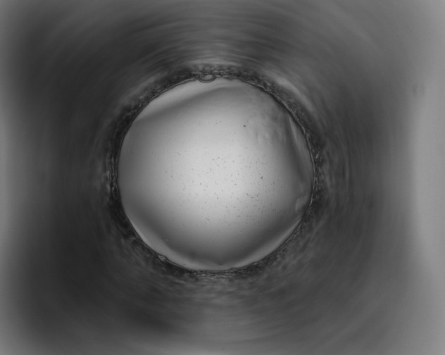 X0000096720870200802191526