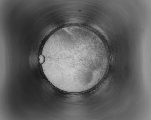 X0000096720874200802191526