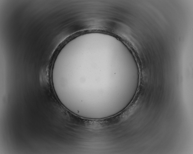 X0000096720875200802191526