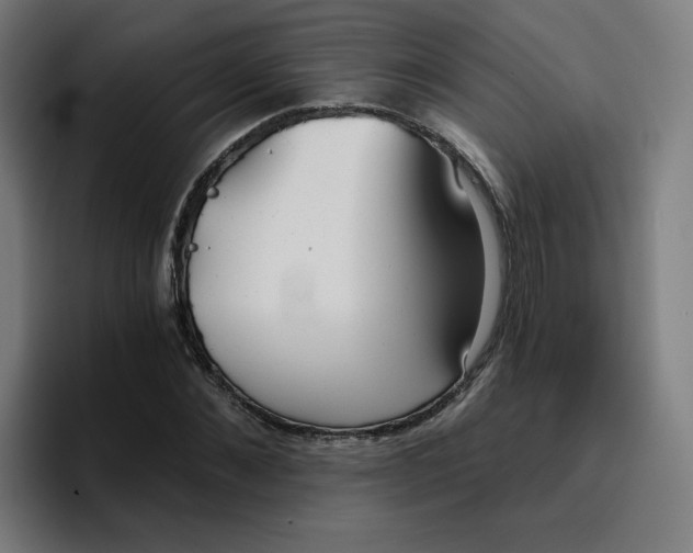 X0000096720876200802191526