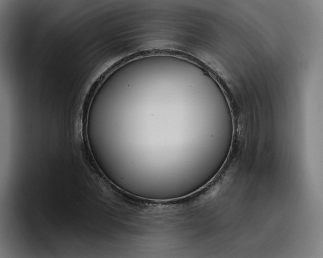 X0000096720877200802191526