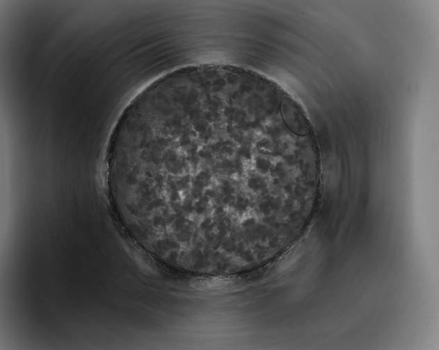 X0000096720879200802191526