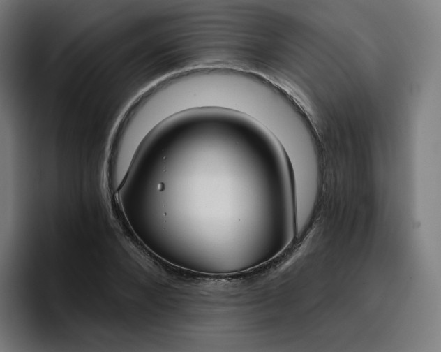 X0000096720880200802191526