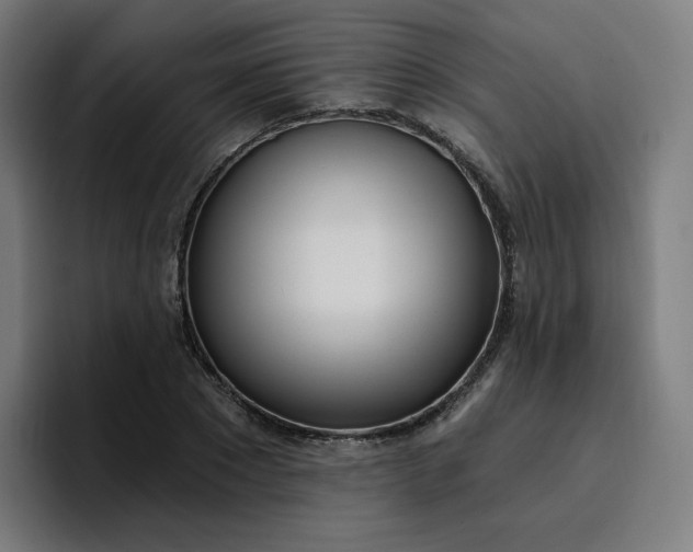 X0000096720881200802191526