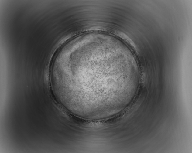 X0000096720882200802191526