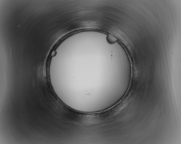 X0000096720883200802191526