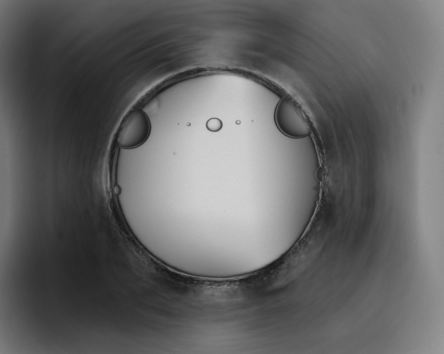 X0000096720887200802191526