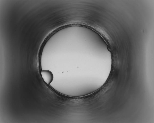 X0000096720888200802191526