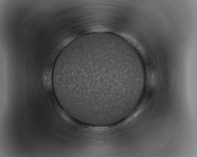 X0000096720889200802191526