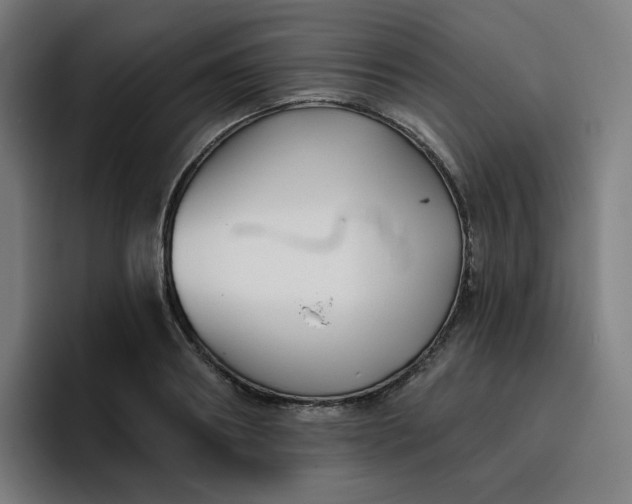 X0000096720890200802191526