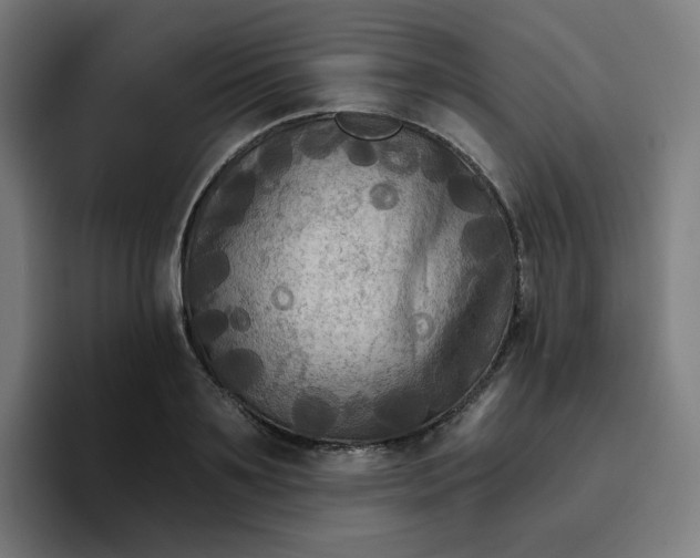 X0000096720891200802191526