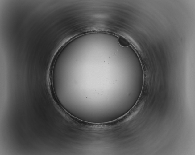 X0000096720893200802191526