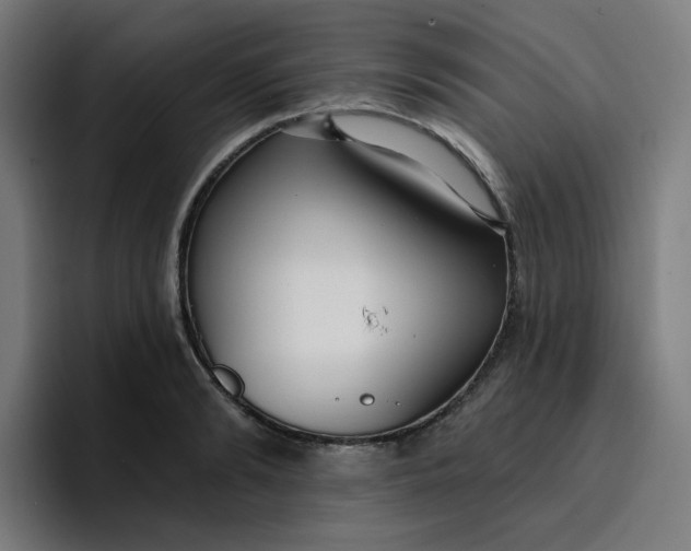 X0000096720894200802191526