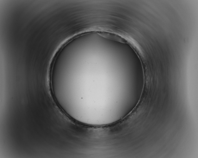 X0000096720896200802191526