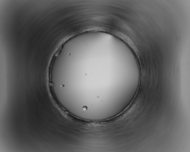 X0000096720898200802191526