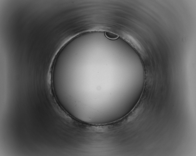 X0000096720900200802191526