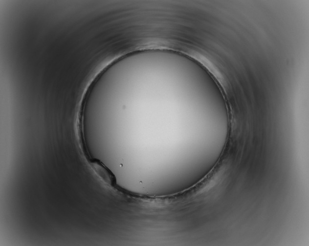 X0000096720901200802191526