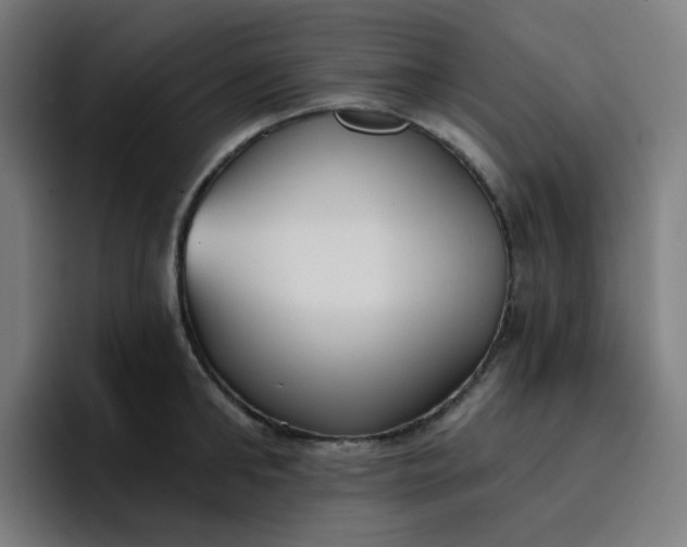 X0000096720902200802191526