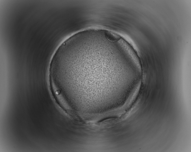 X0000096720903200802191526