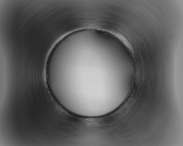 X0000096720904200802191526