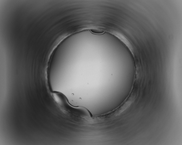 X0000096720906200802191526