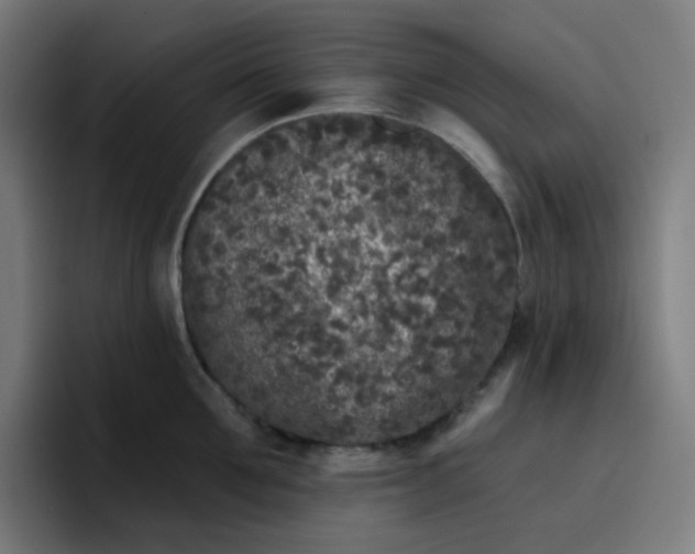 X0000096720907200802191526