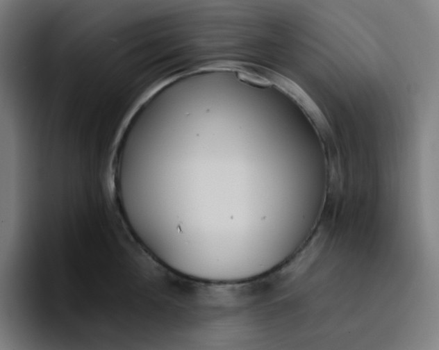 X0000096720908200802191526