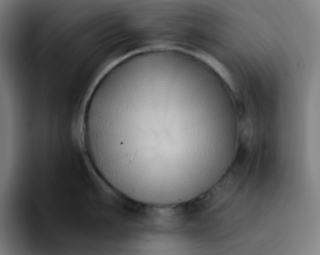 X0000096720911200802191526