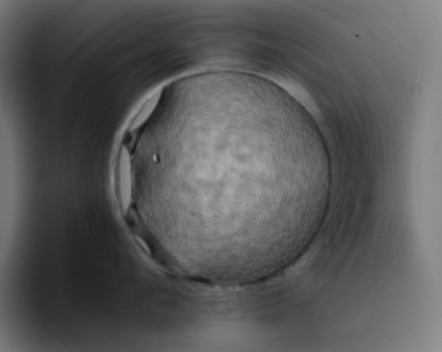 X0000096720912200802191526