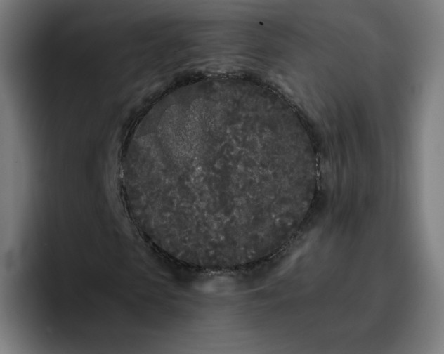 X0000096720913200802191525