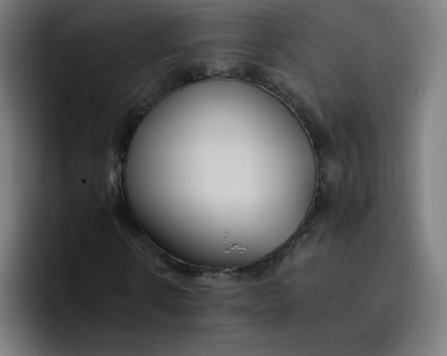 X0000096720914200802191525