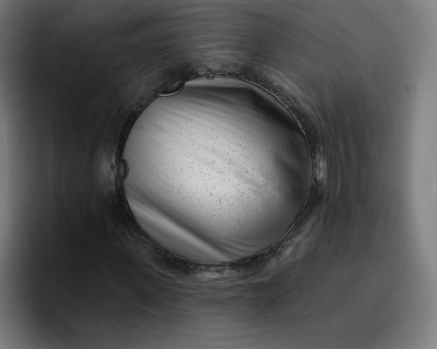 X0000096720915200802191525