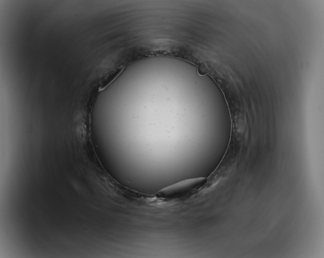 X0000096720916200802191525