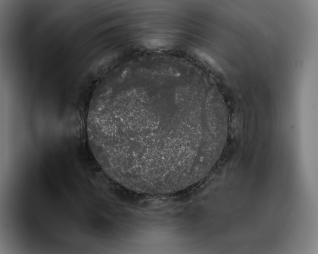 X0000096720917200802191525