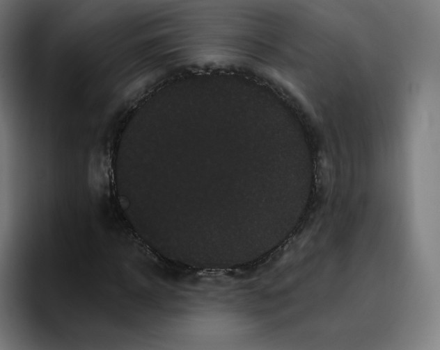 X0000096720918200802191525