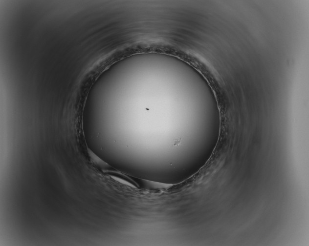 X0000096720919200802191525