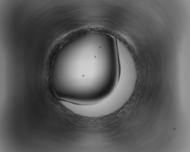 X0000096720920200802191525