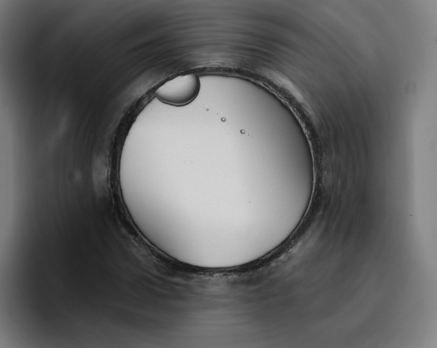 X0000096720922200802191525