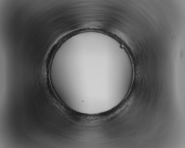 X0000096720923200802191525