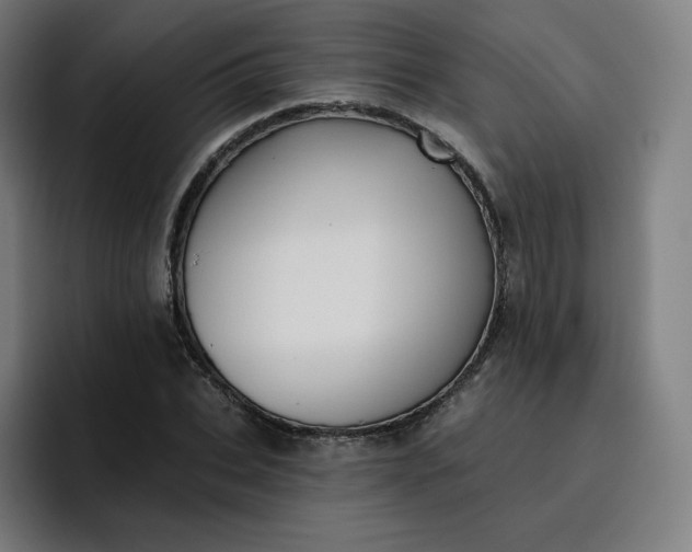 X0000096720927200802191525