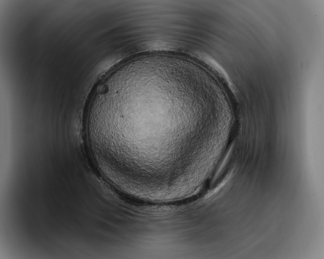 X0000096720930200802191525