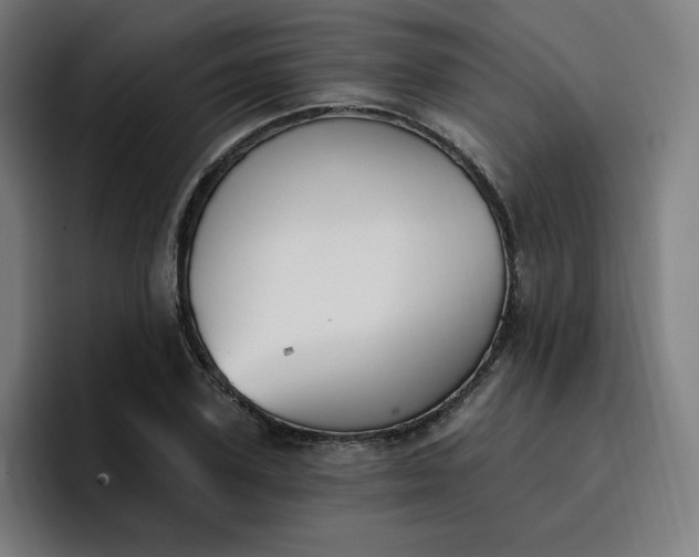 X0000096720931200802191525